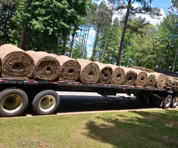 Landscaping