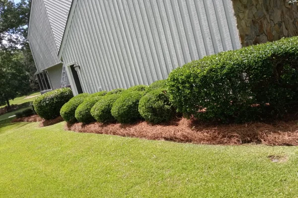 H&J Lawn Care LLC's other services
