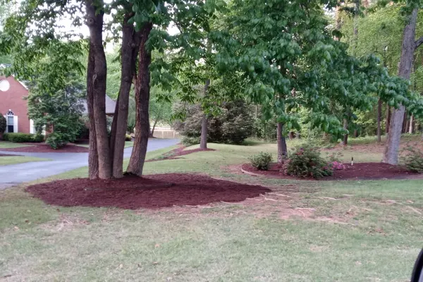 Professional landscaper in Greenwood, SC