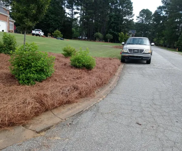Landscaping
