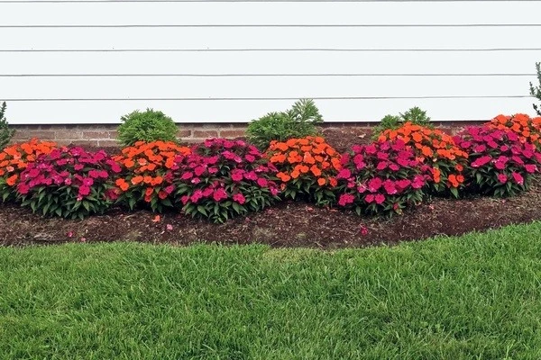 Quality landscape contractor