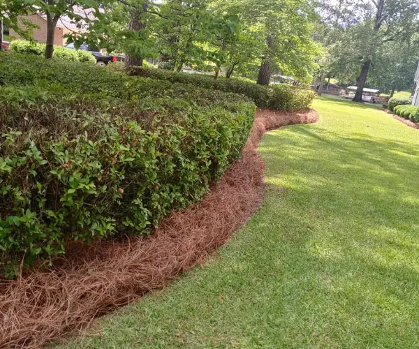 Landscaping