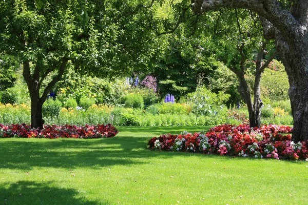 Reliable landscape contractor