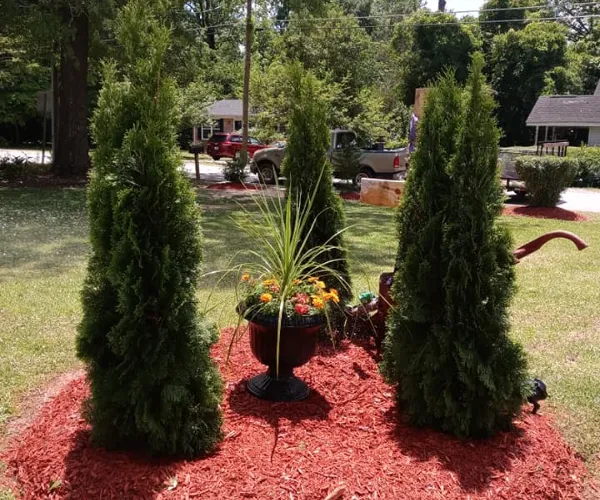 Landscaping