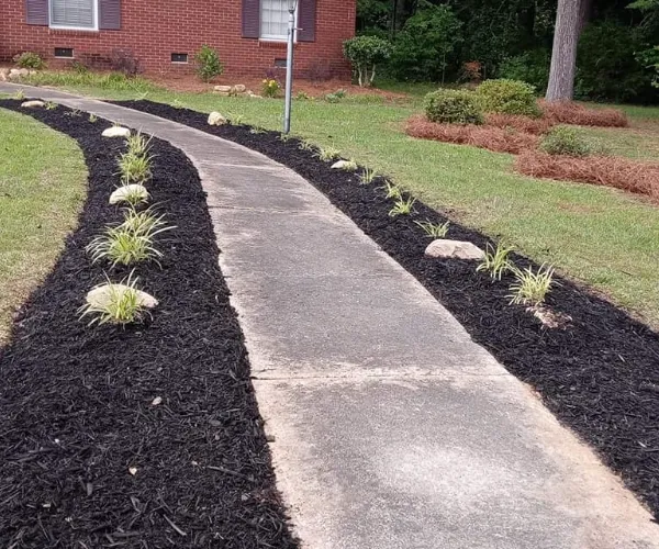 Landscaping