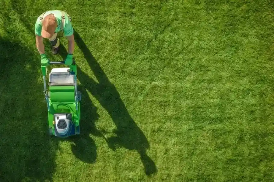 Excellent Grass Cutting Service Greenwood, SC