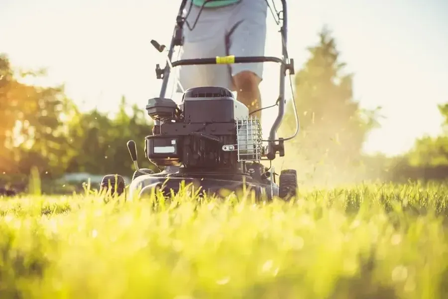 Expert Grass Cutting Service Greenwood, SC