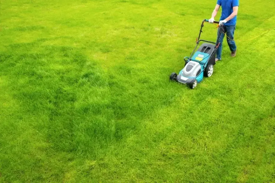 Grass Cutting Techniques That Prevent Lawn Damage in Greenwood, SC