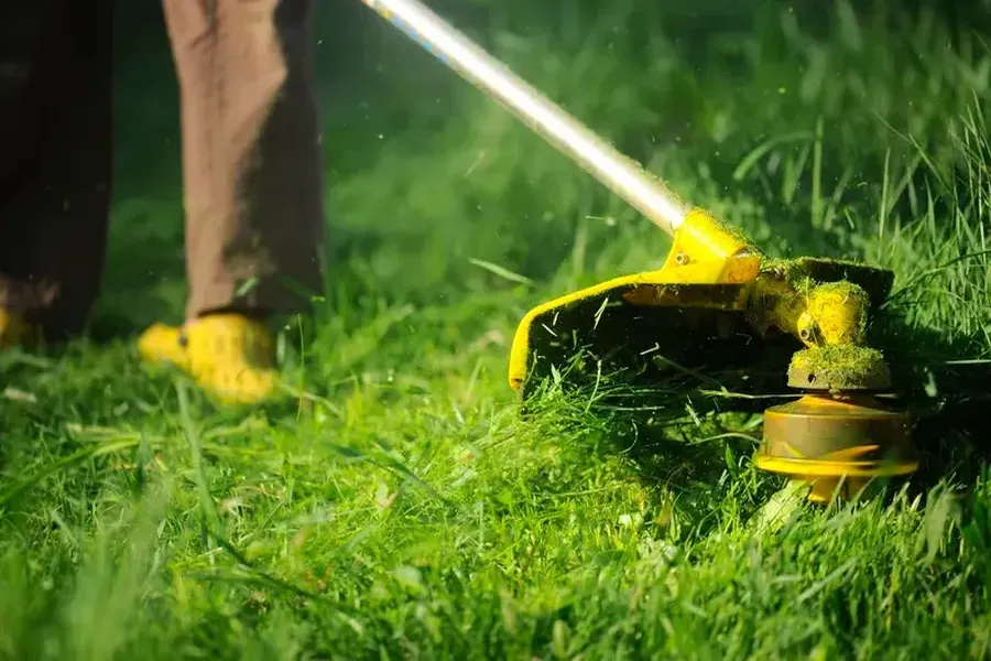 How Grass Cutting Services Improve Lawn Health Greenwood, SC