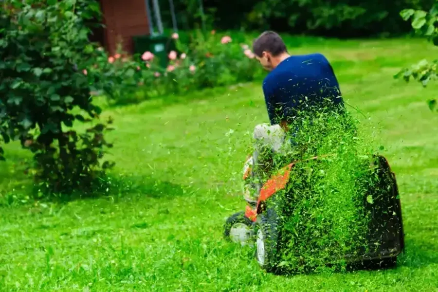 How Grass Cutting Services Improve Lawn Health in Greenwood, SC