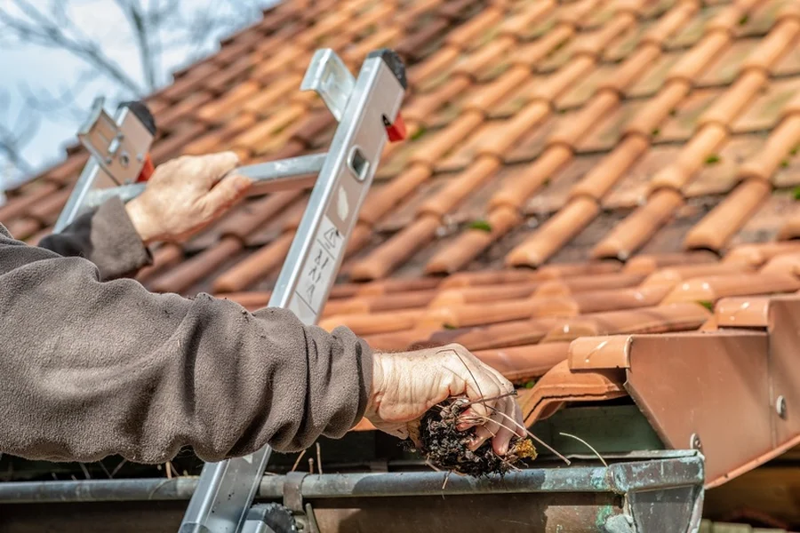 How Gutter Cleaning Protects Your Landscaping Investment Greenwood, SC