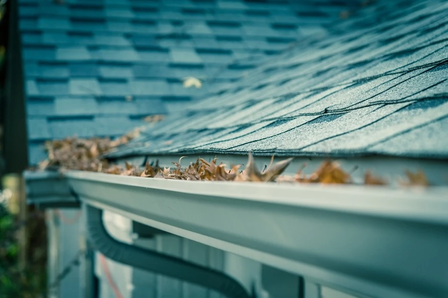 How Gutter Cleaning Protects Your Landscaping Investment in Greenwood, SC