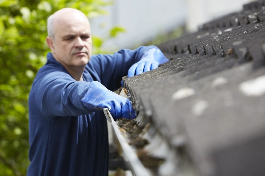 Superior Gutter Cleaning Greenwood, SC