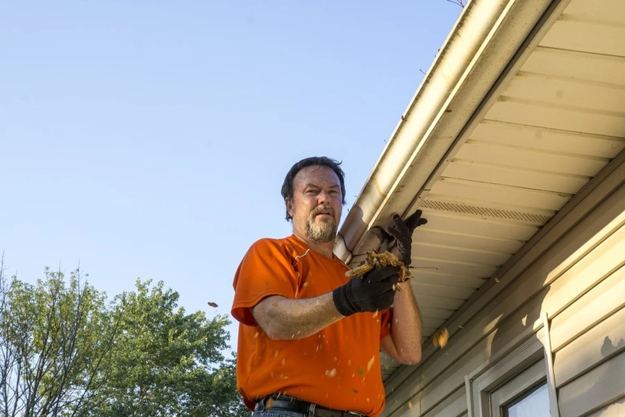 The Role Of Gutter Cleaning In Preventing Landscape Damage in Greenwood, SC