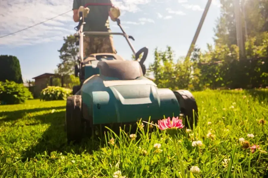 Top-rated Grass Cutting Service Greenwood, SC