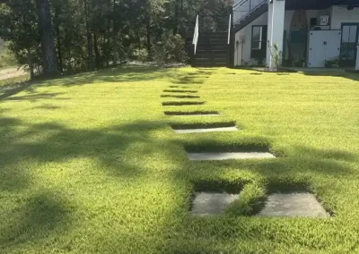 Dependable Landscaping Services Provider