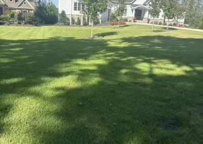 Landscaping Services Provider
