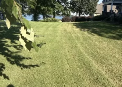 Local Landscape Company