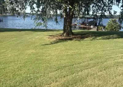 Local Landscape Contractor