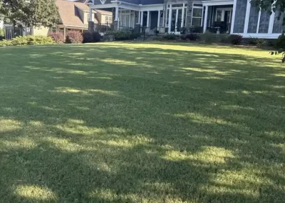 Local Landscape Maintenance
