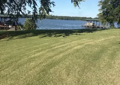 Local Landscaper