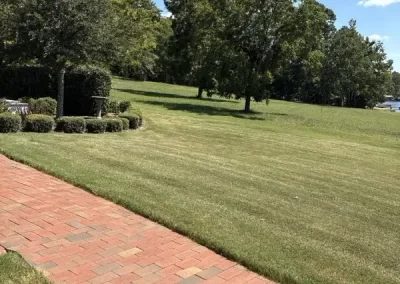 Local Landscaping Services Provider