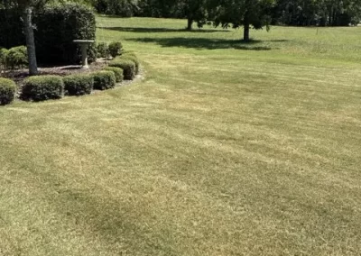 Professional Landscaping Services Provider