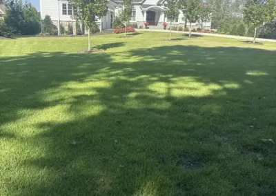 Quality Landscaping Services Provider