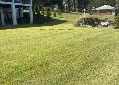 Reliable Landscaping Services Provider